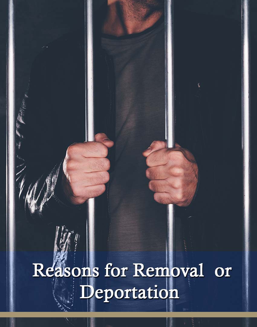 06 Reasons for Removal or Deportation