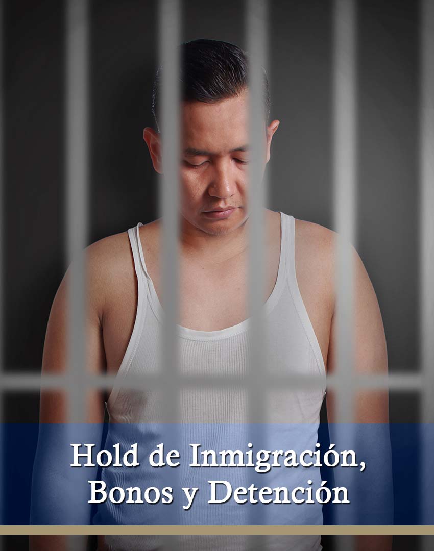 09 Hold de Inmigracin Bonos y Detencin