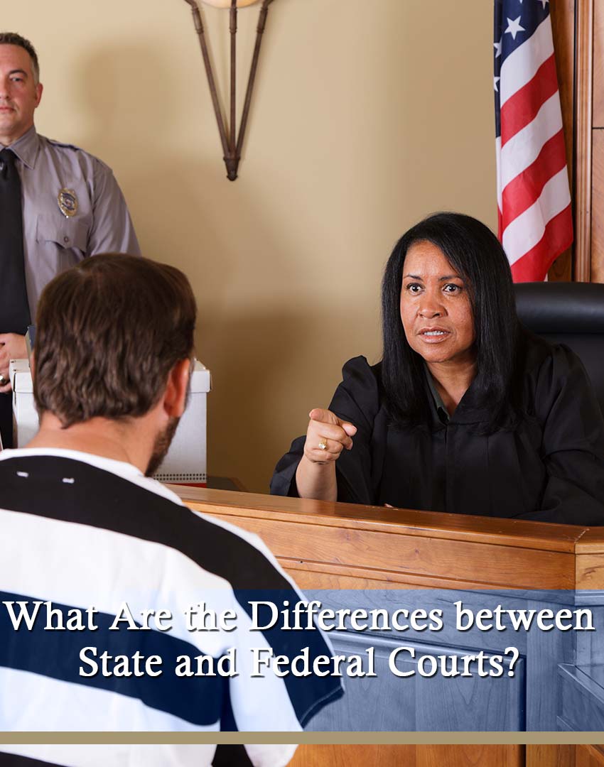 12 What Are the Differences between State and Federal Courts