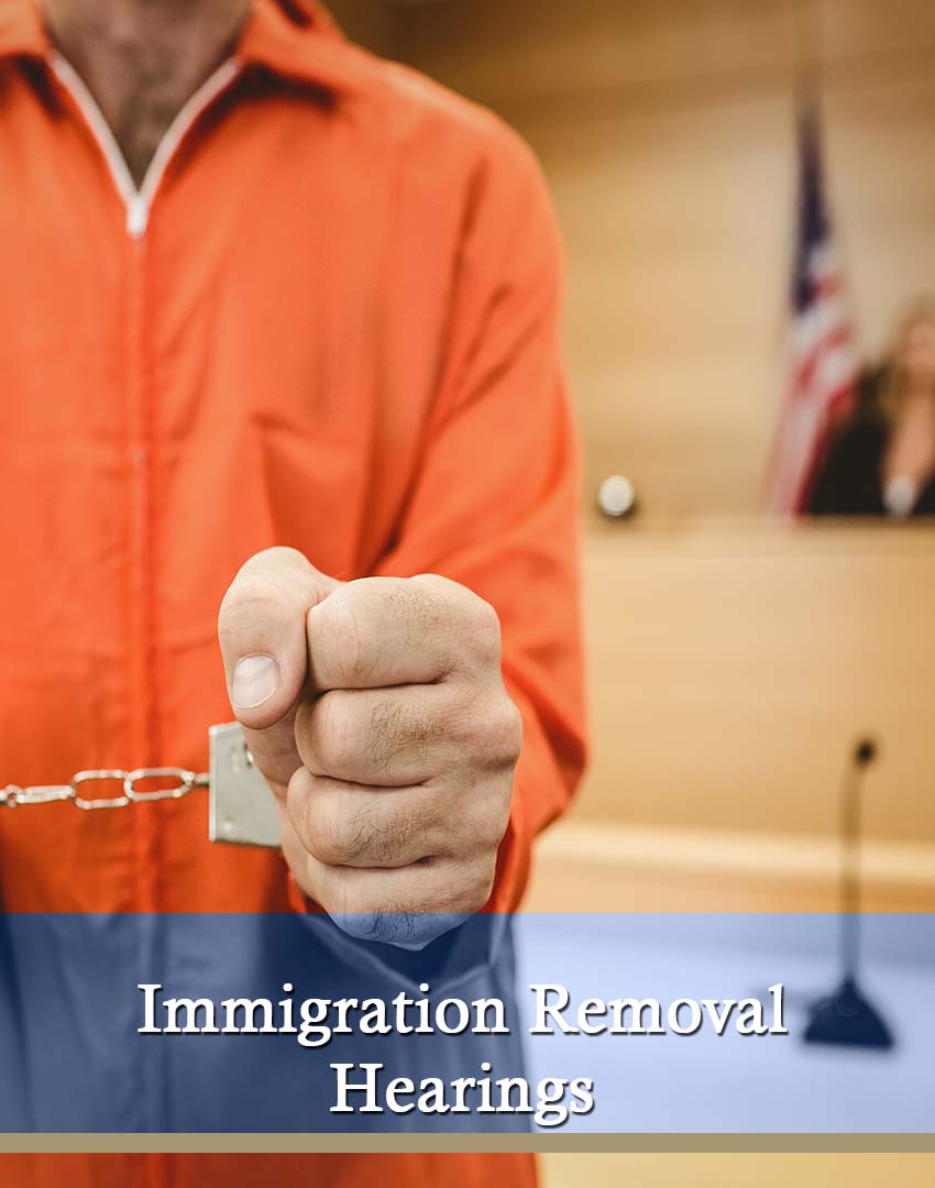 18 Immigration Removal Hearings
