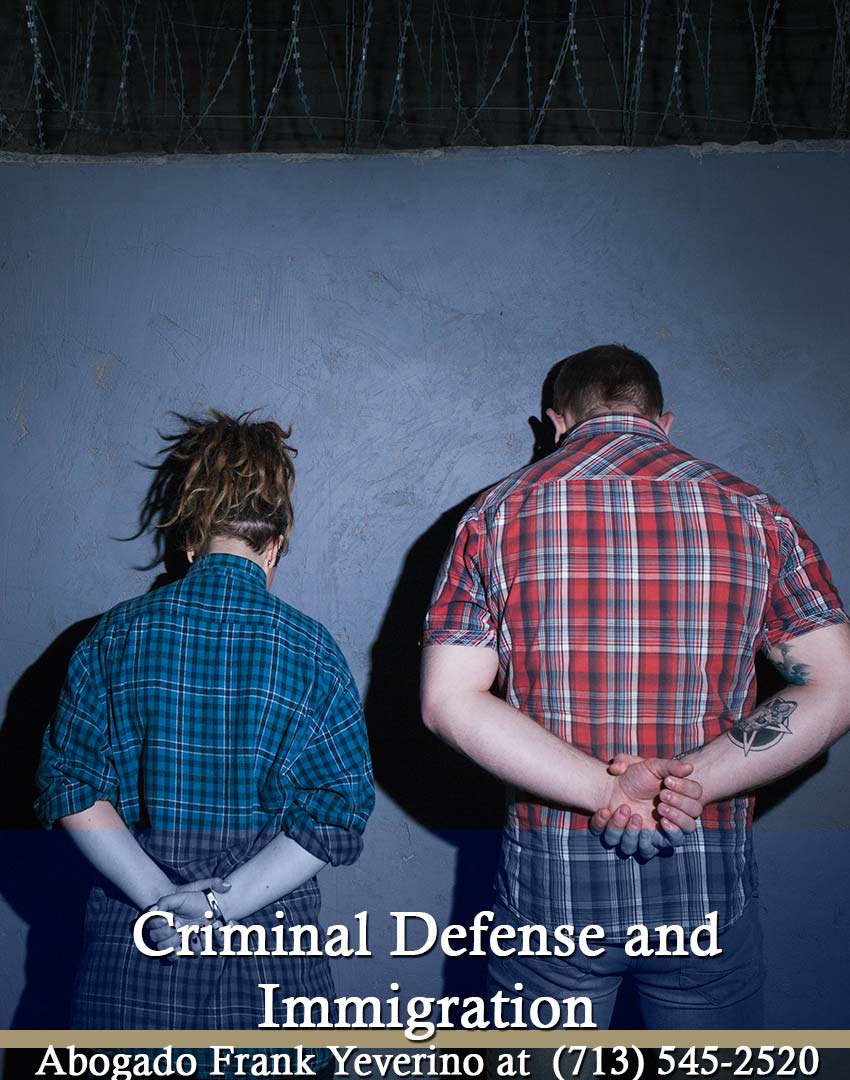 06 Criminal Defense and Immigration