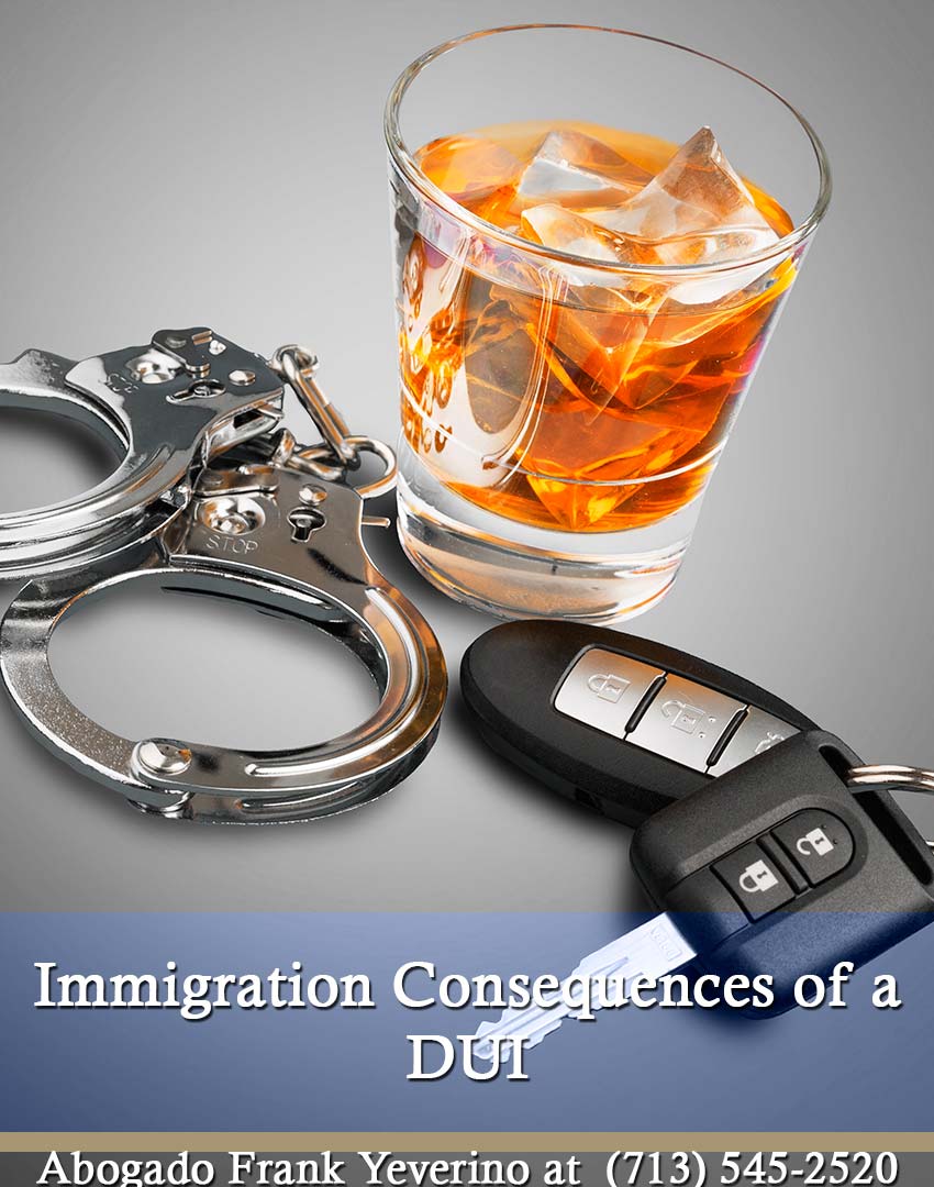 30 Immigration Consequences of a DUI